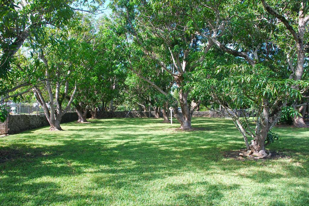 מיאמי La Finca מראה חיצוני תמונה